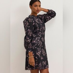 Velvet by Graham & Spencer Celina Dress NWT